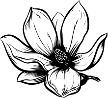 Stowarzyszenie Magnoliowa